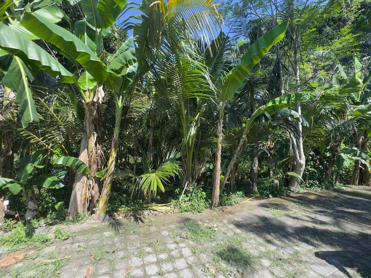 Land for Sale with River View – Blahbatuh, Gianyar, Bali — photo 5