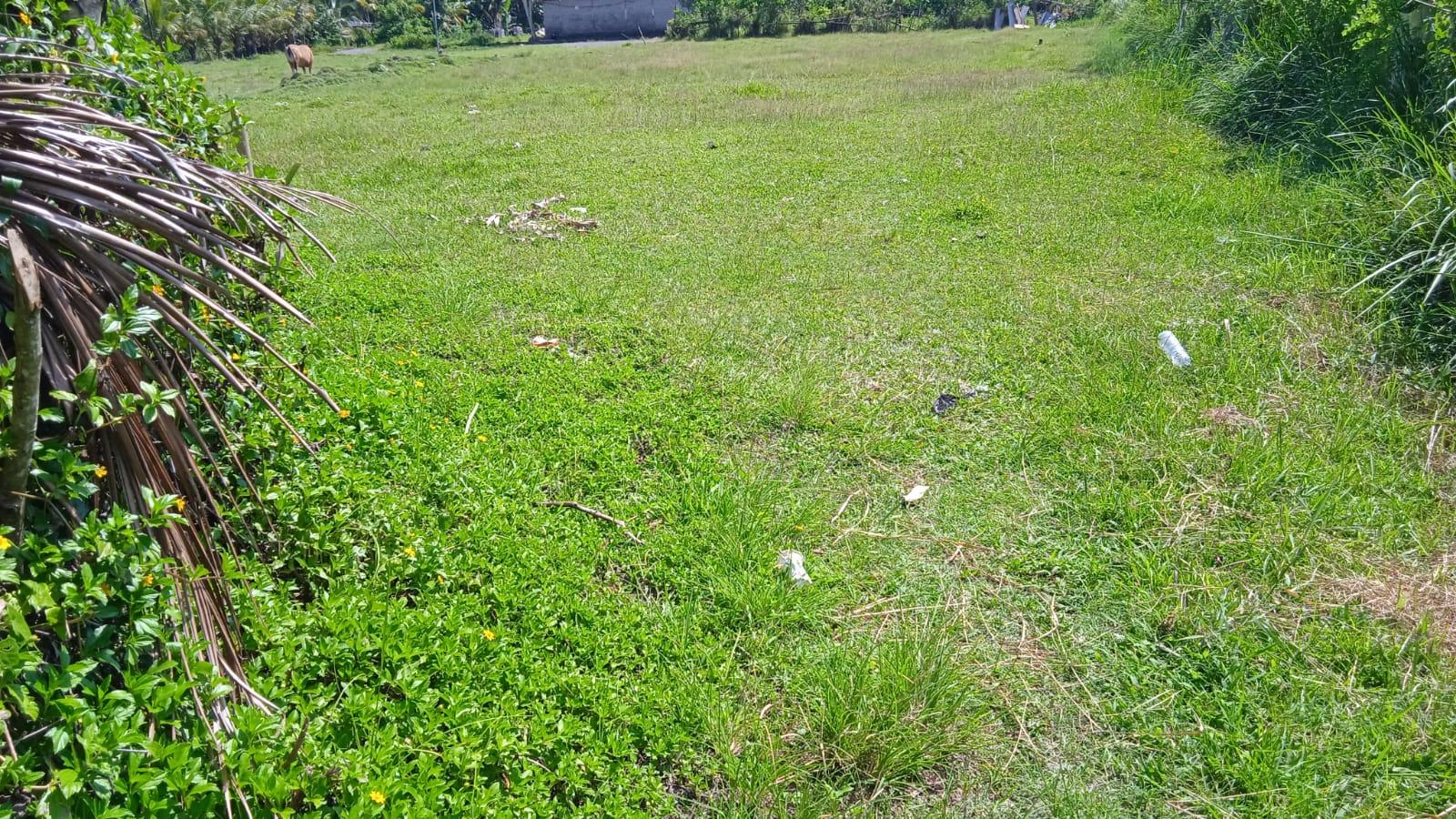 Land for sale in Pejeng, Gianyar Regency, Bali — photo 1