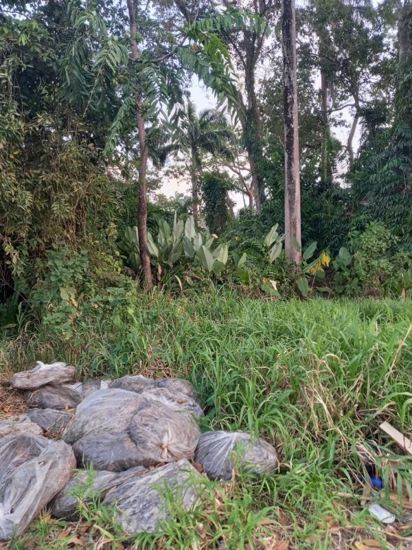 Freehold Residential Mayaro Land for Sale — photo 2
