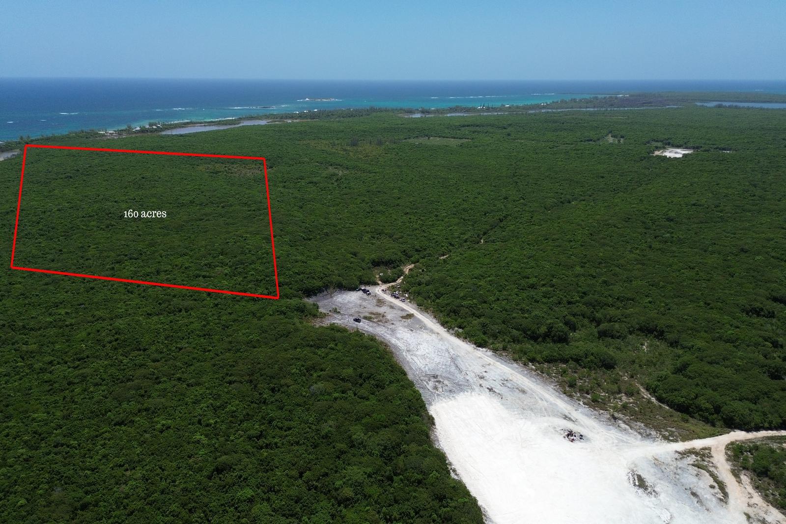 141.3 ACRES BURNS POND — photo 1