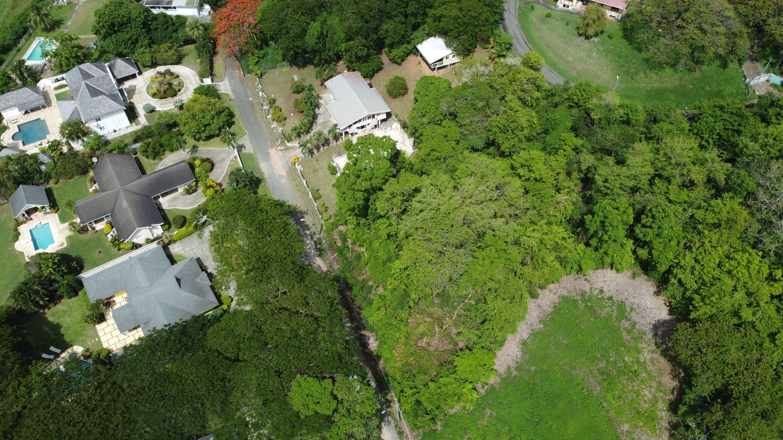 Prime Tobago Land Overlooking Mt. Irvine Golf Course — photo 4