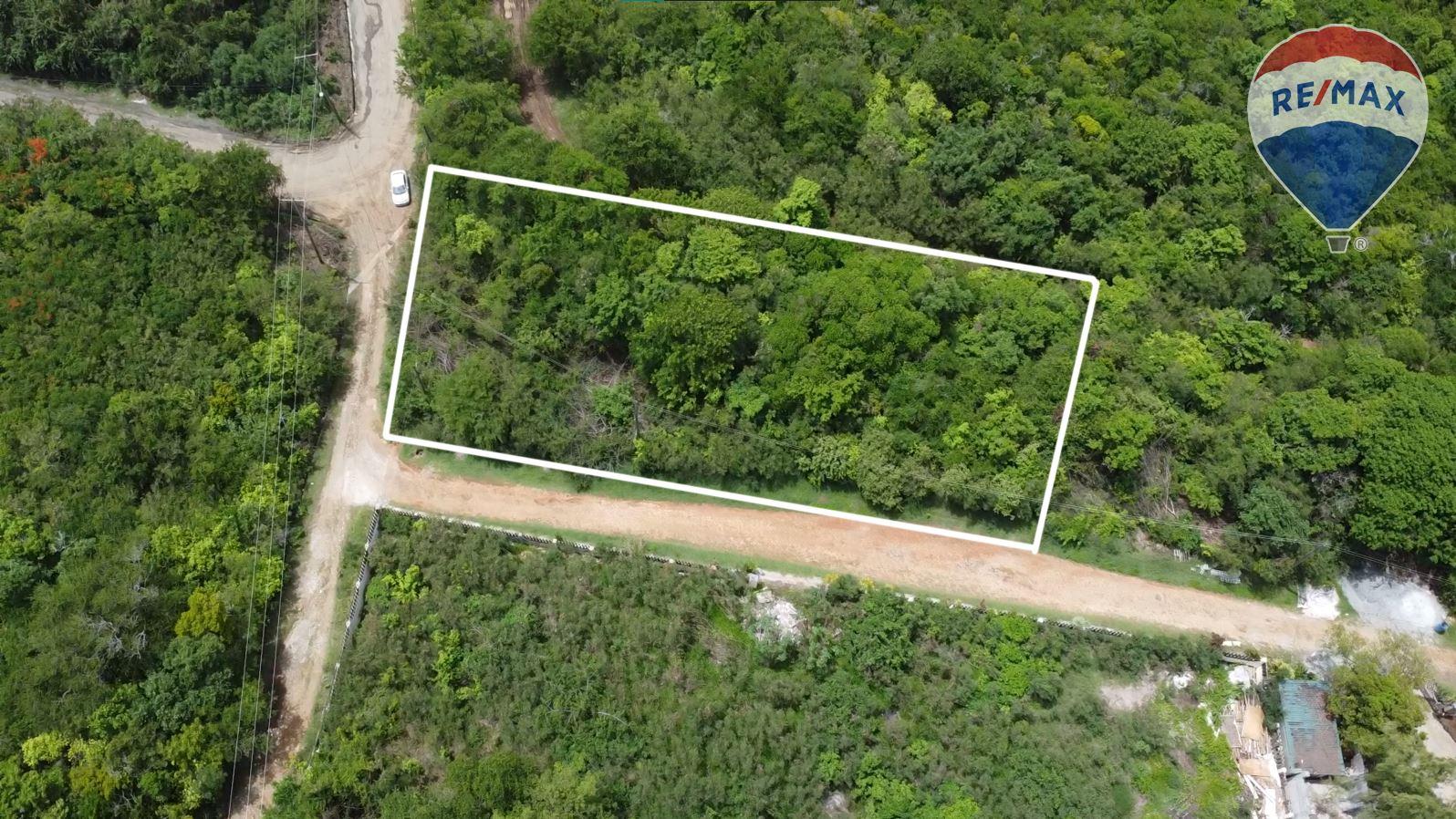 Serene Oasis Near Cas en Bas Beach: Dream house location! — photo 2