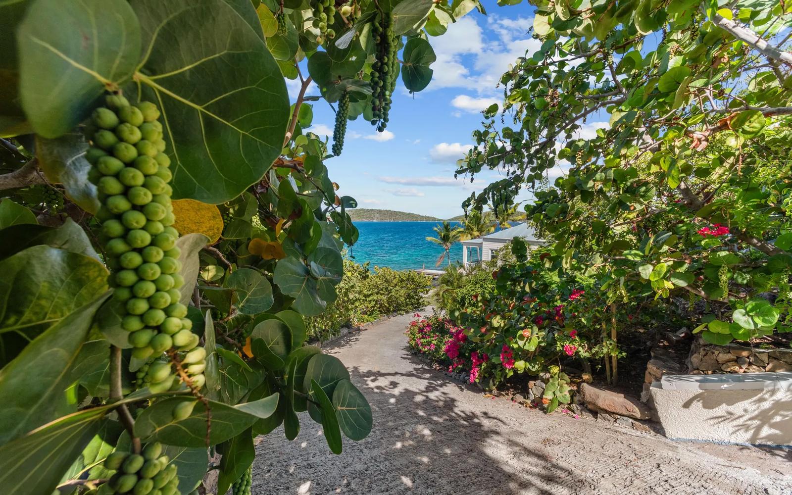 Sea Grape Villa - St Thomas — photo 3