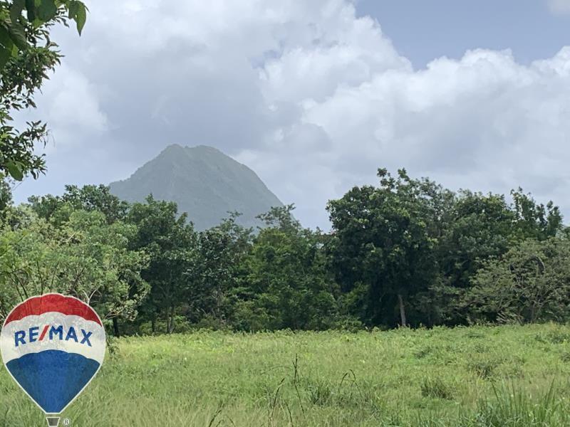 17 Acres of prime land in Choiseul - Untapped Potential — photo 1