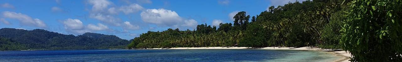 RAJA EMPAT ISLANDS - Two pieces of paradise -1953 — photo 2