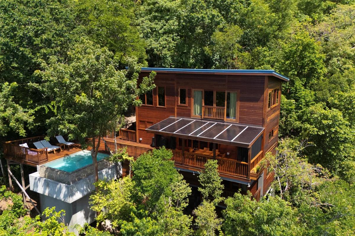 A timber villa and plunge pool built into rainforest canopy, seen from above