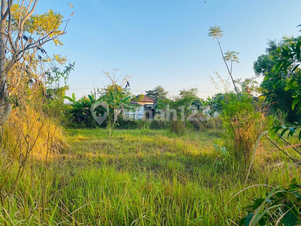 300 sqm land in Lovina, Bali with rice field and mountain views — photo 5