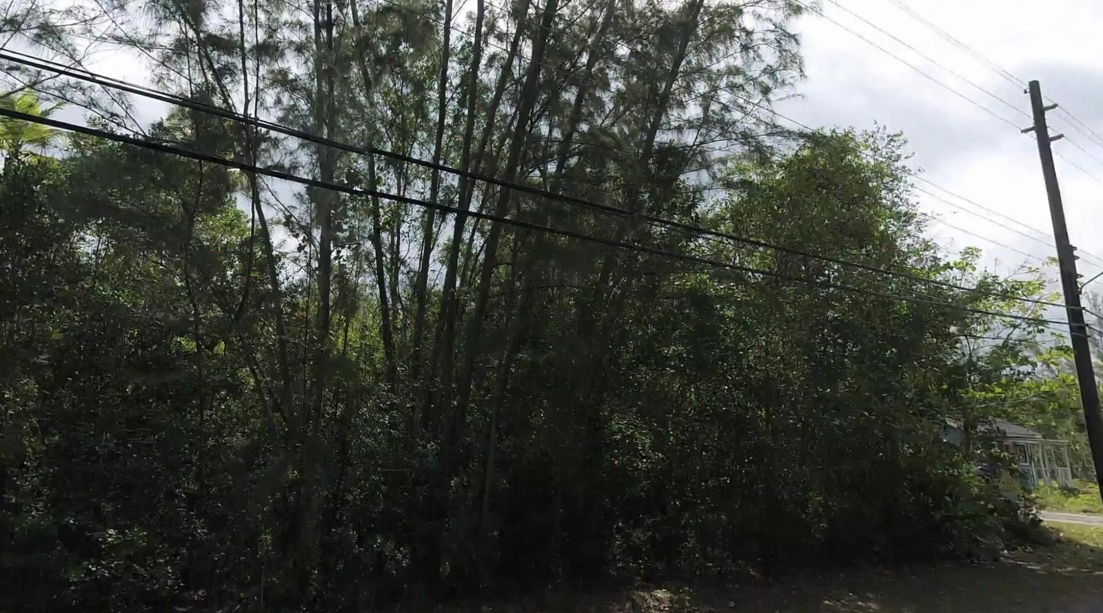 Two Beachfront Lots in Mangrove Cay, Andros — photo 4