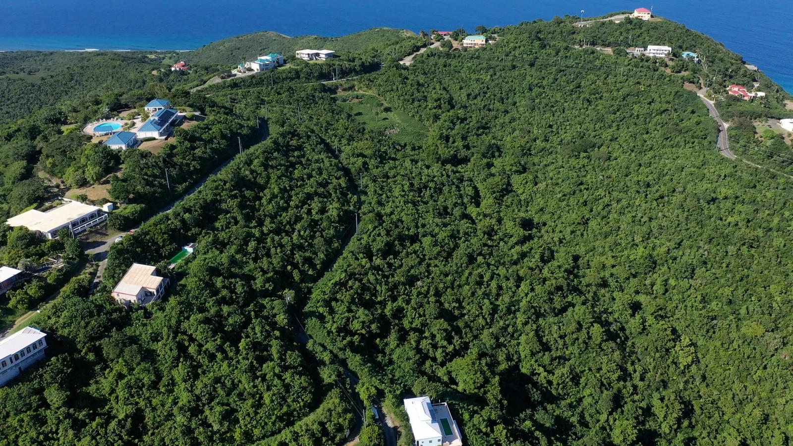 1.1 Acre Lot — photo 4