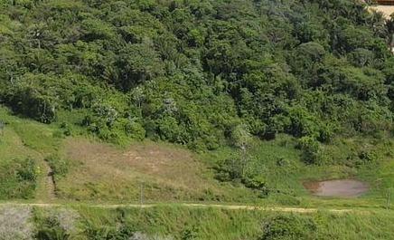 15 acres agricultural land and business for sale — photo 3