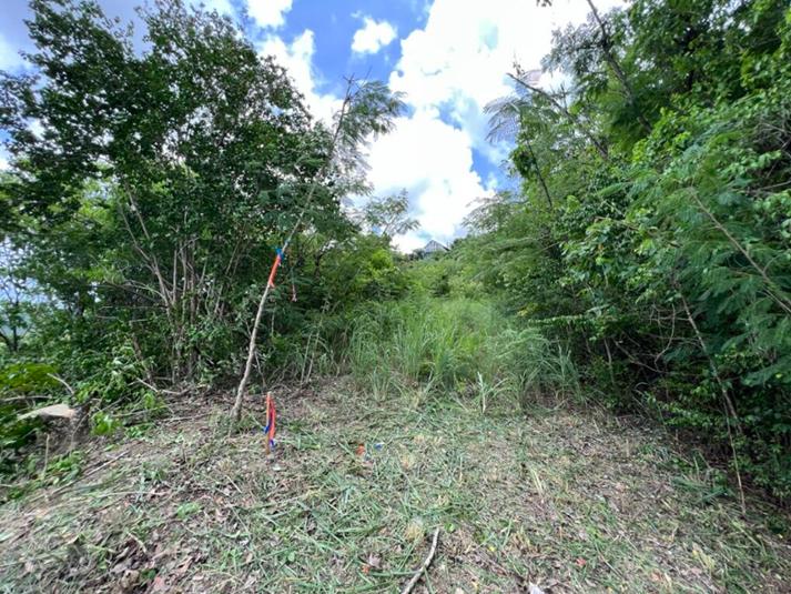 St. Croix Affordable 0.4 Acre Oceanview Lot — photo 4