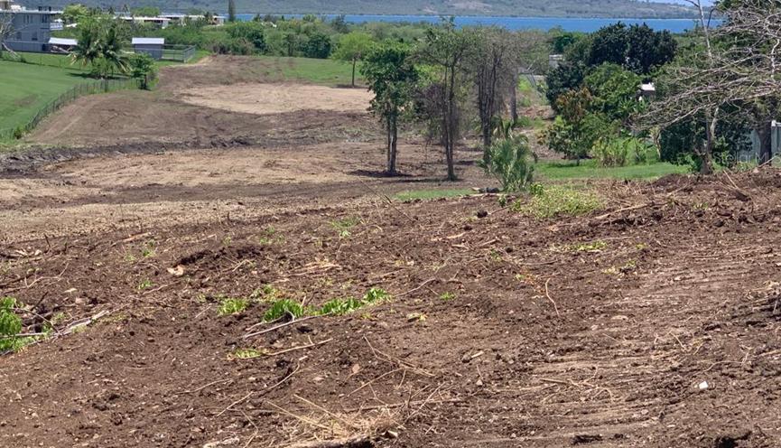 Boqueron 6.5 Acre Opportunity — photo 3