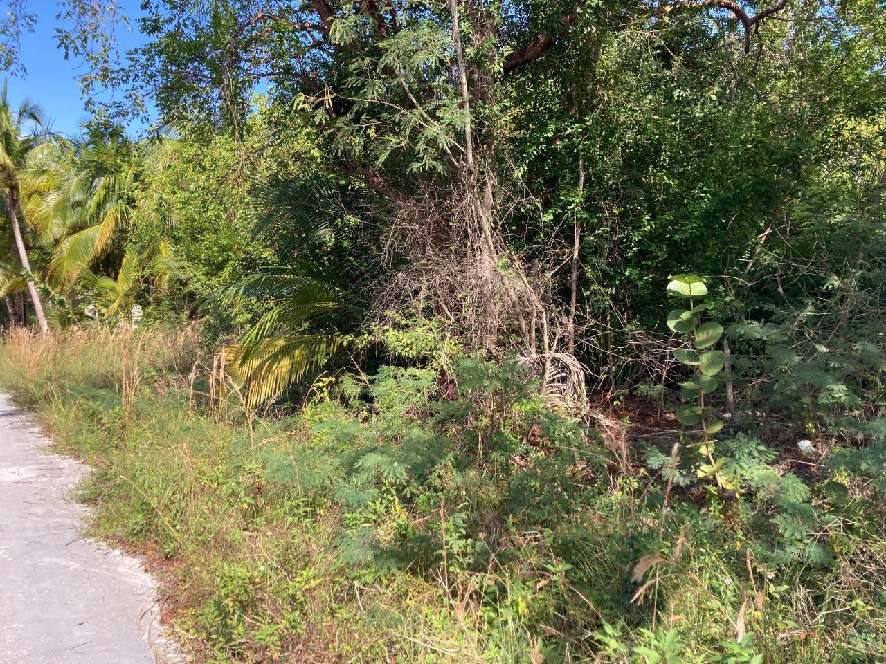 Pleasant Bay West Land for Sale in Andros, The Bahamas — photo 5