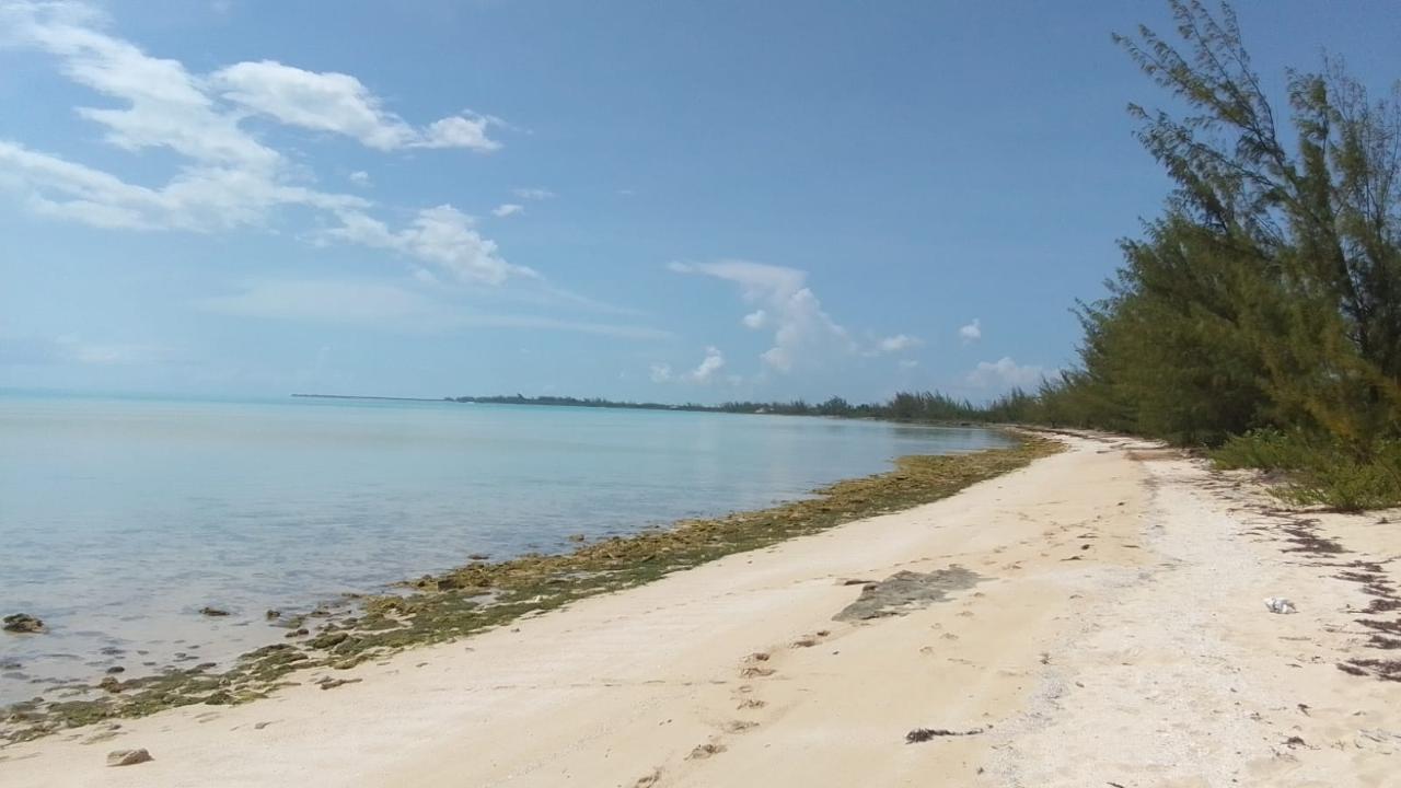 ALLIGATOR BAY — photo 1