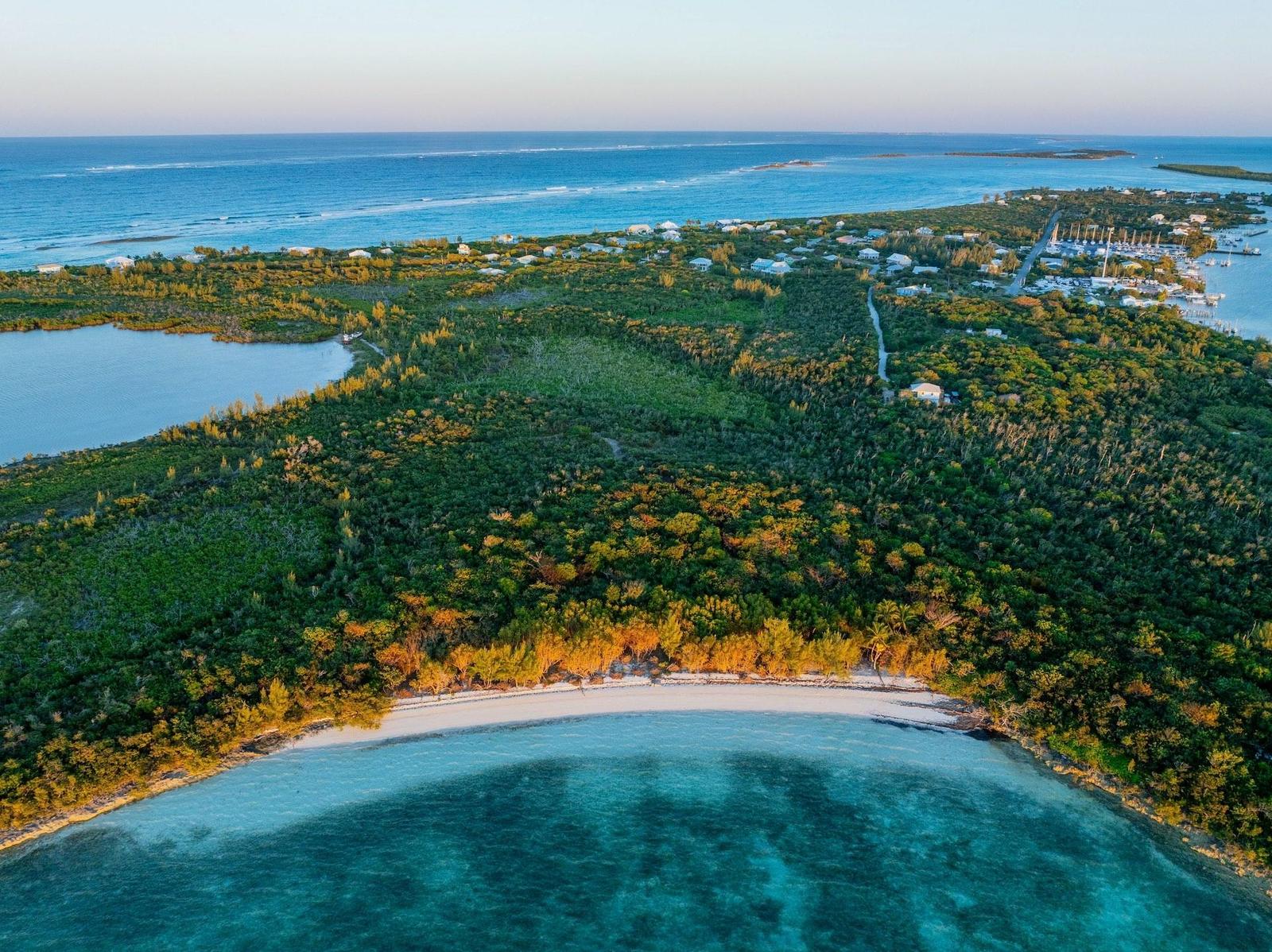 64.67 Acres Green Turtle — photo 3