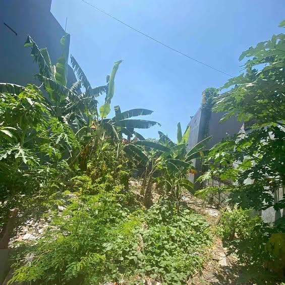 Studio house in Denpasar — photo 1
