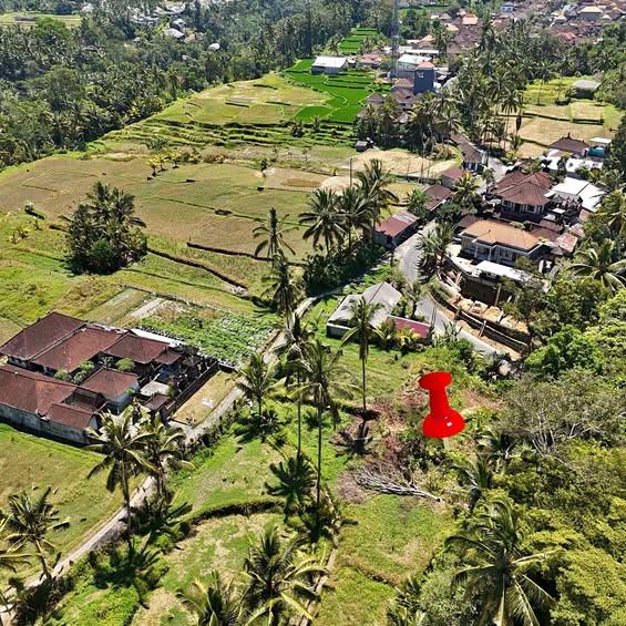 Studio in Tegallalang, Bali — photo 1