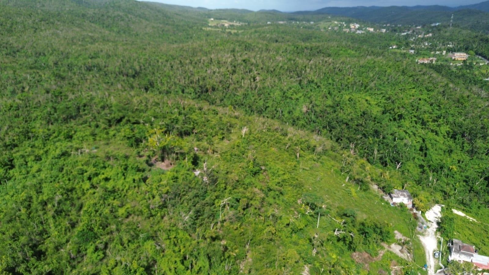 30 Acre Development Land for Sale, Glendale Heights, Montego Bay, St James, Jamaica — photo 3