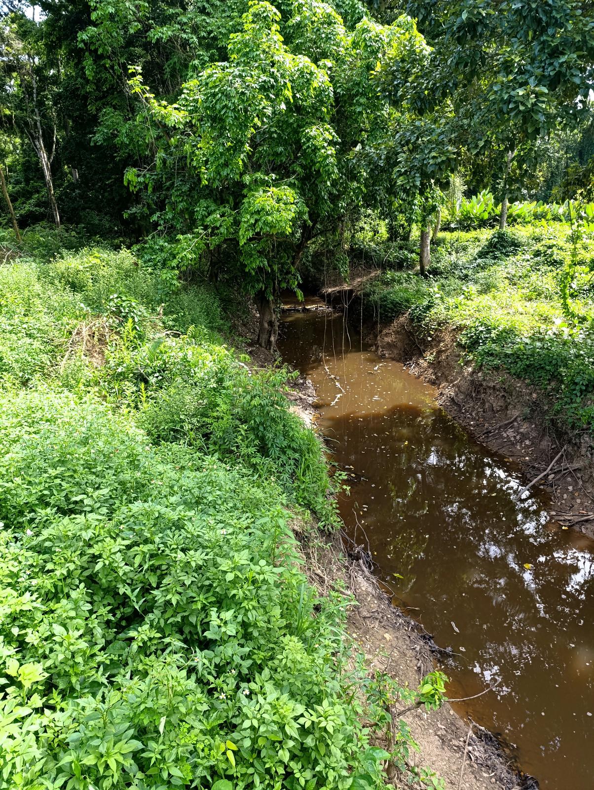 14 acres of raw land in Ecclesville, Rio Claro — photo 3