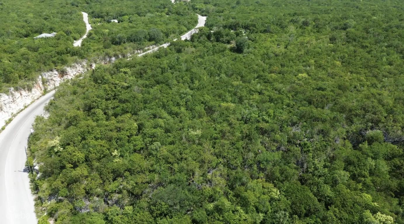 Bluff Edge At The Creek - Cayman Brac — photo 2