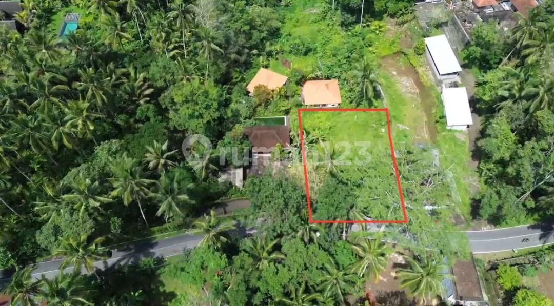 750 sqm land plot in Ubud, close to Capella Ubud — photo 5