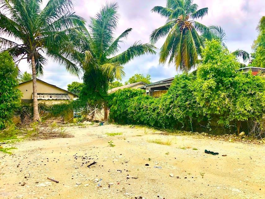 PEARDALE VACANT LOT — photo 5