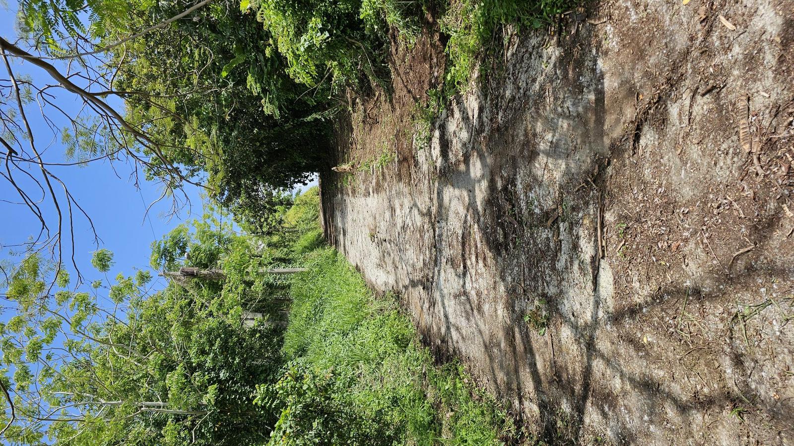 4.58-Acres Residential Development Opportunity with R-I Zoning and Panoramic Ocean, Mountain, and Valley Views in Humacao — photo 4