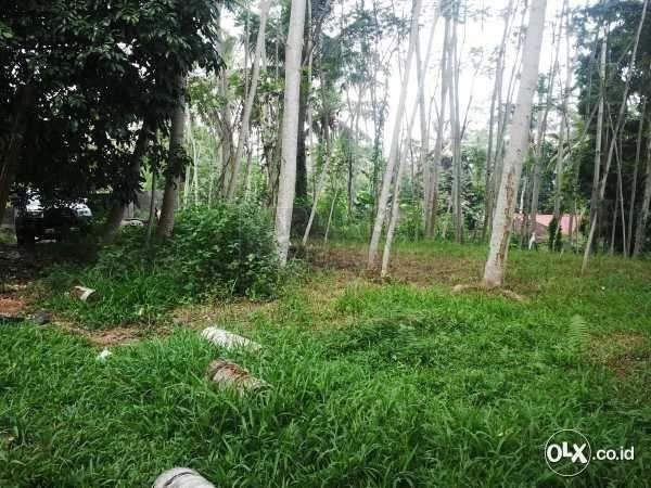 Well Priced Leasehold Land 140 Are – Gianyar Regency – Desa Selat — photo 3