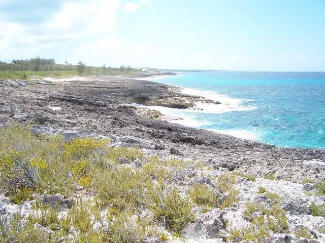 OCEAN DRIVE — photo 2