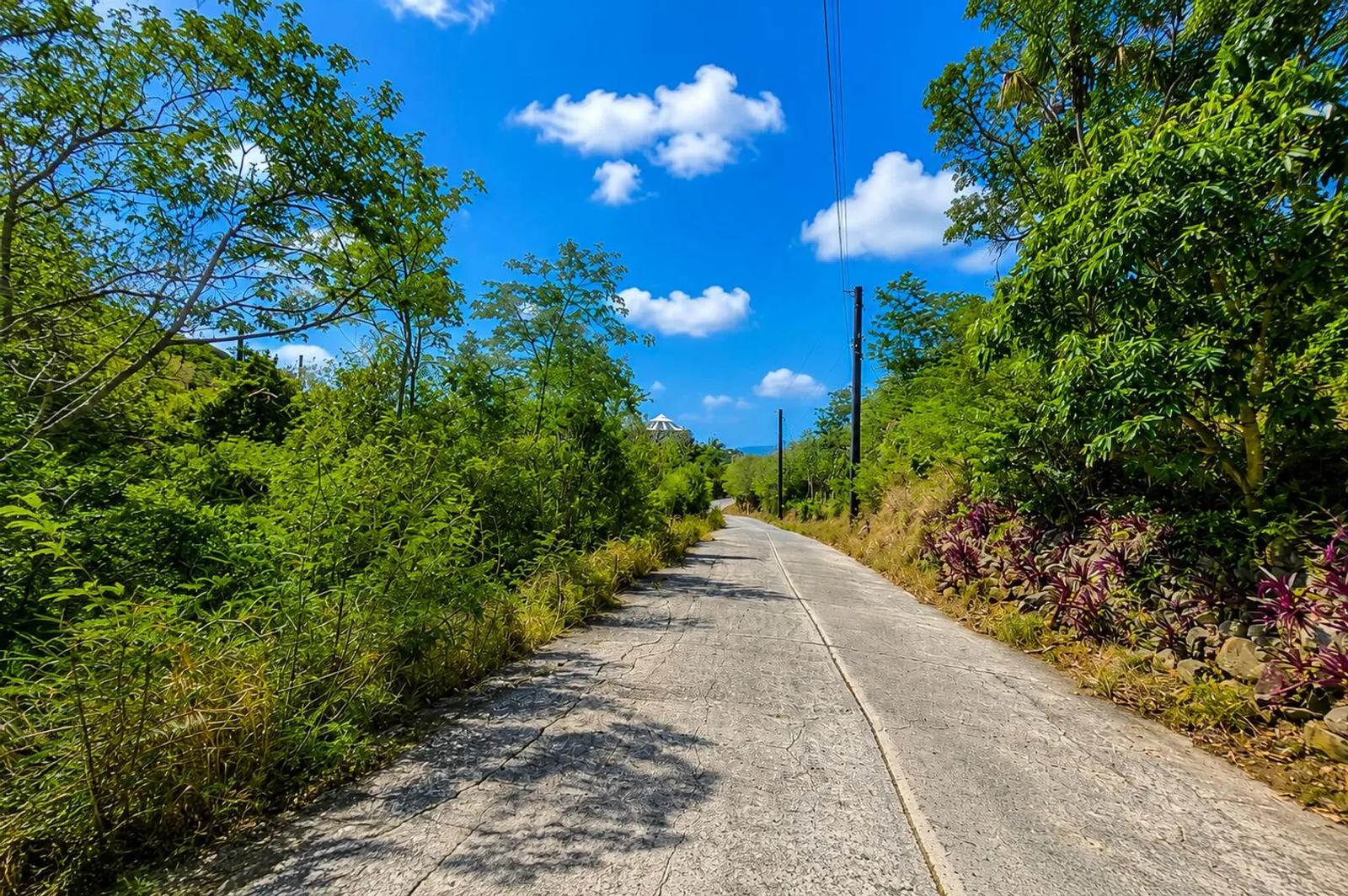0.66 Acre Homesite in Frenchmans Bay with Ocean View — photo 5