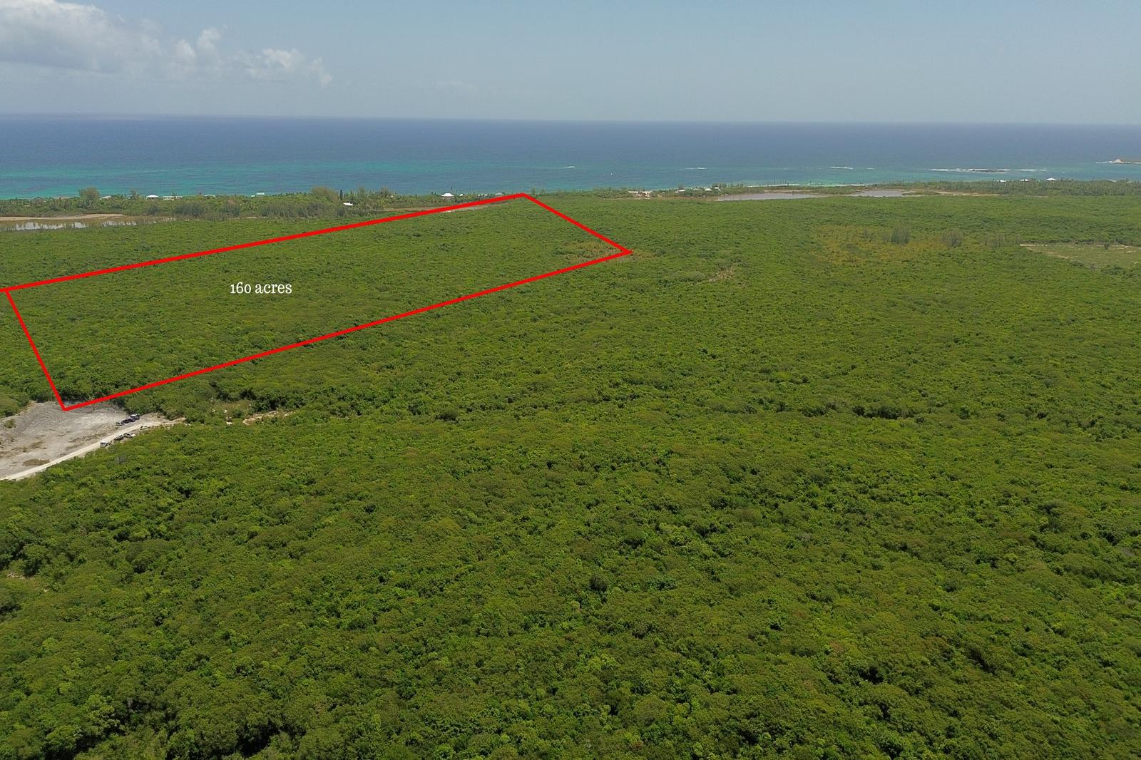 141.3 ACRES BURNS POND — photo 3