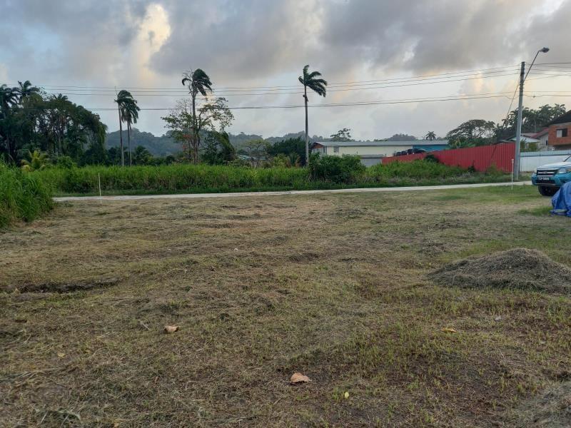 Freehold Residential Mayaro Land for Sale — photo 1