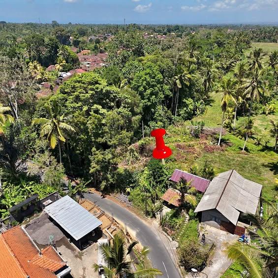 Studio in Tegallalang — photo 1