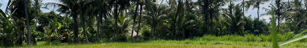 Pantai Saba Beachside Land - 2237 — photo 2