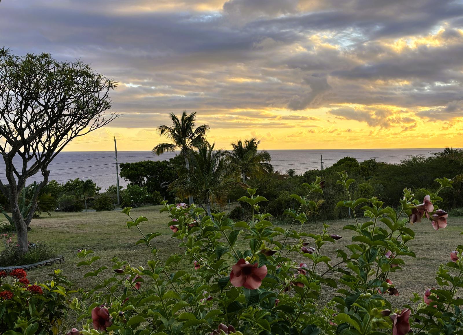 STATIA ISLAND Country House Union White Wall Road Sint Eustatius — photo 4