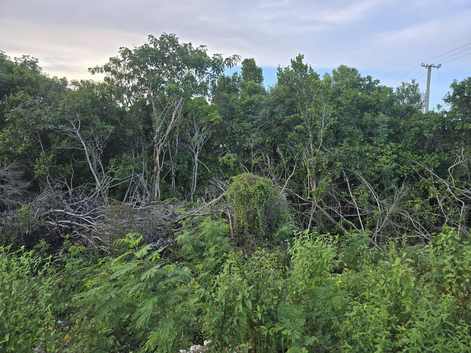 4A BOATSWAIN HILL EAST — photo 5
