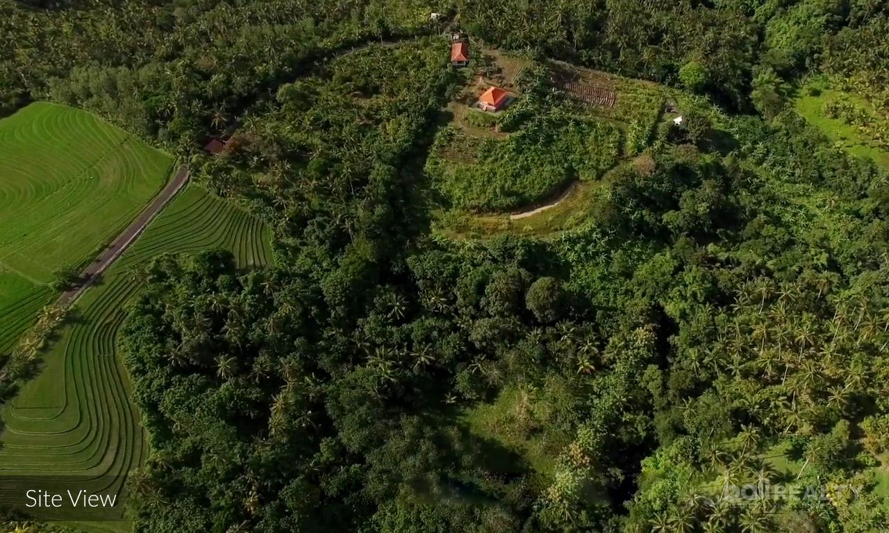Prime Investment Potential: 2,5 hectare for Glamping Business with Scenic Views Near Balian Beach, Tabanan — photo 4