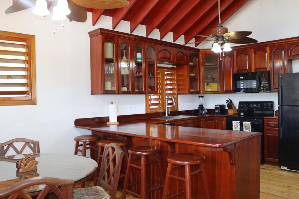 4 bedroom Oceanfront Villa for sale in Las Palmas Roatan — photo 5