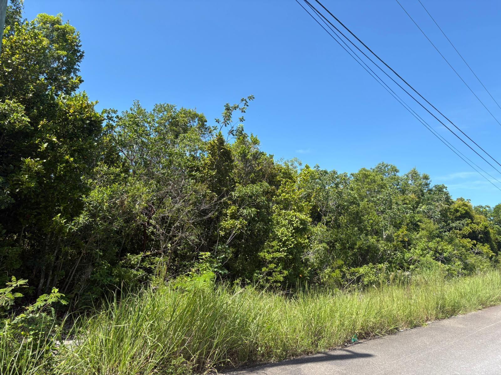 OFF ADELAIDE BEACH ROAD — photo 1