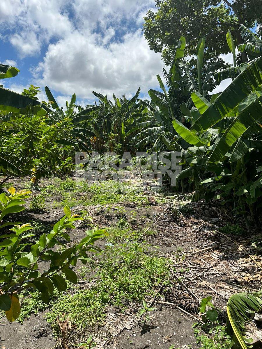Prime Location Leasehold Land for Development — photo 5