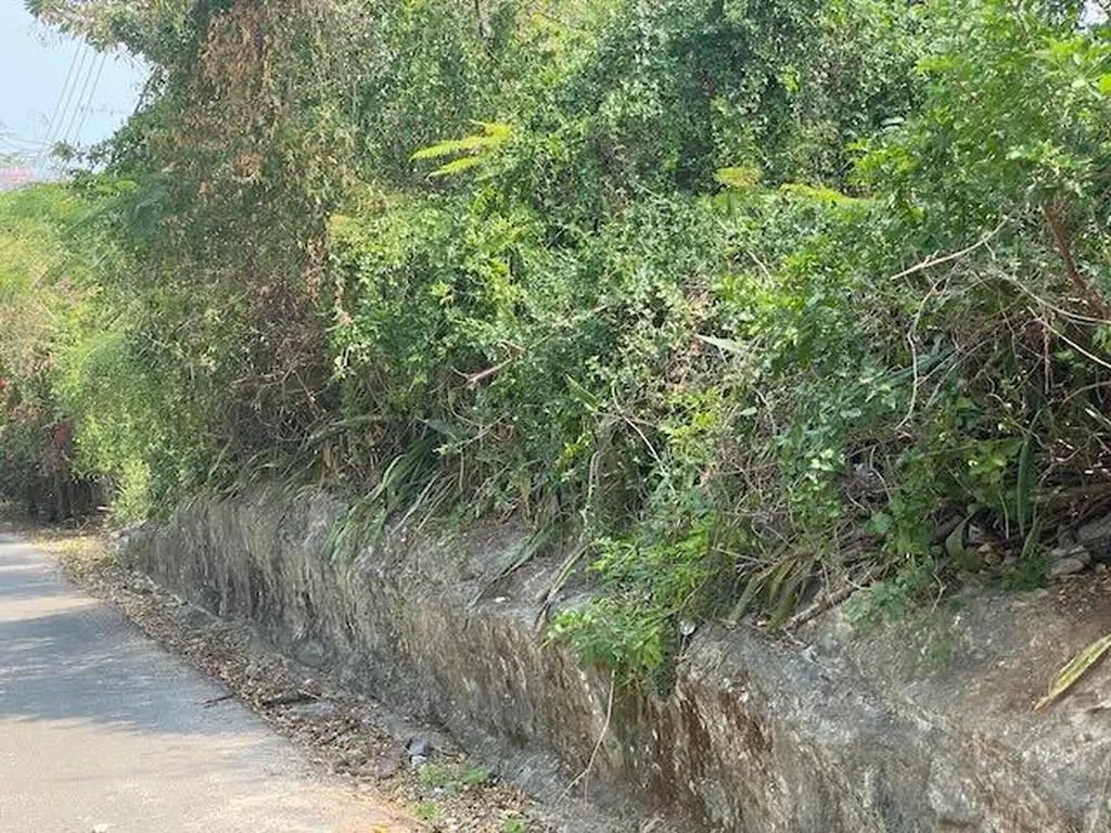 Over 11,000 sq ft land plot in Nassau — photo 3