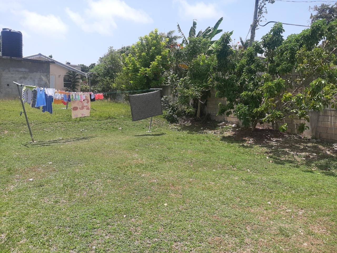 ROSEVALE H/S St. James Montego Bay — photo 2