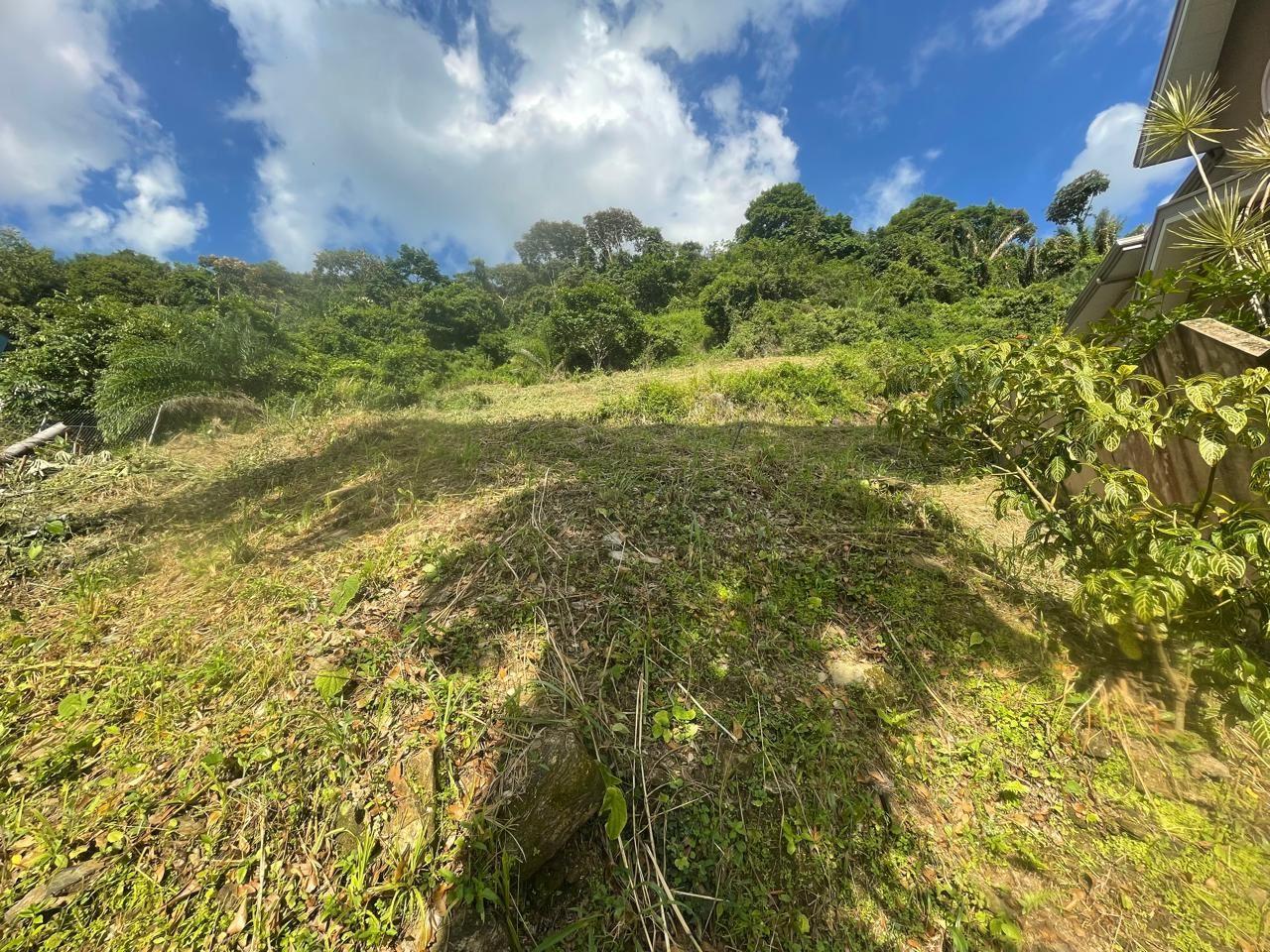 LAND FOR SALE IN GLENCOE ESTATES (GATED COMMUNITY) — photo 5