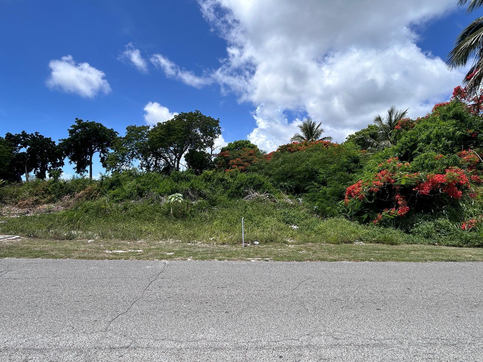 LOT #269, TULIP DRIVE — photo 1