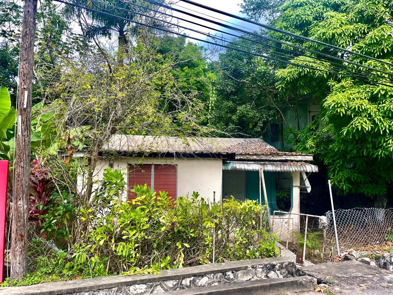 VIOLET AVENUE Hanover Lucea — photo 1