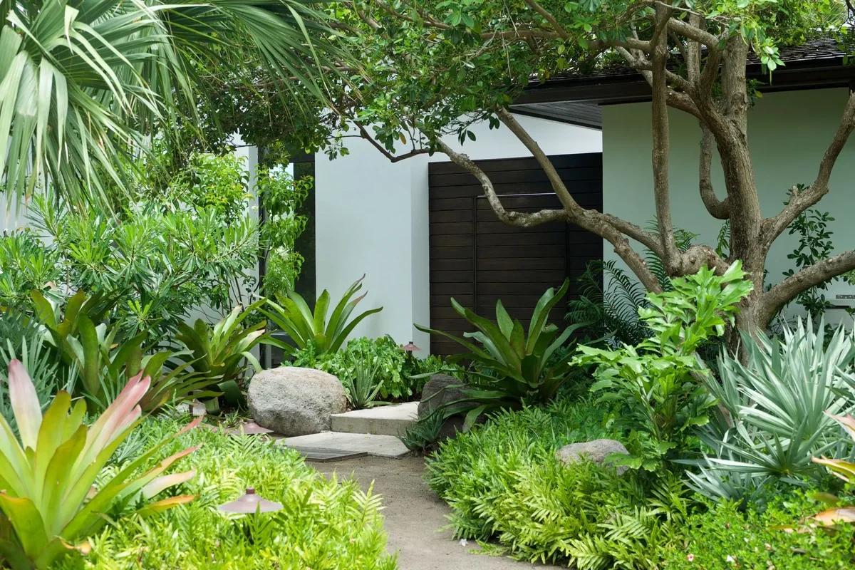 A stone path through dense tropical planting to a villa's timber door, a frangipani above