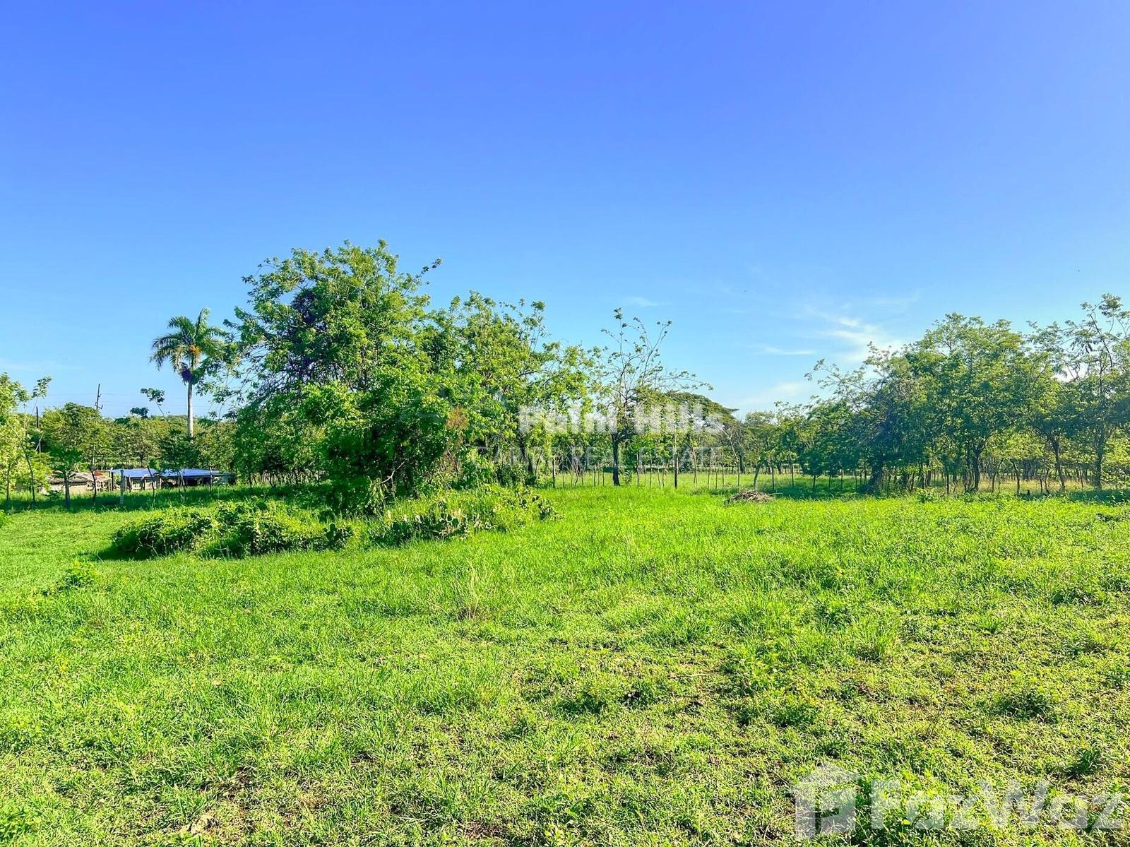 Farm for Sale in Sosua, Puerto Plata — photo 1