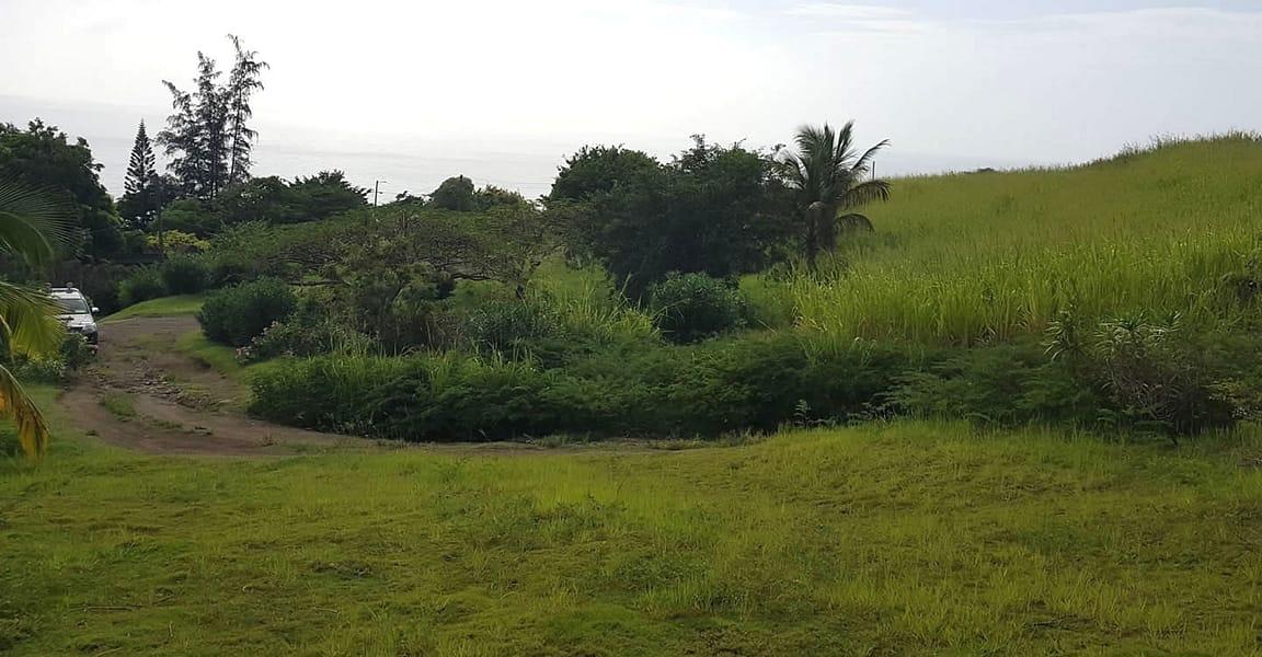 5 Acres of Development Land for Sale, Palmetto Bay, St Kitts — photo 5