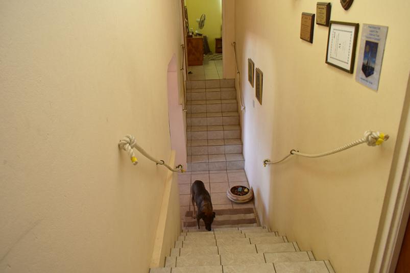 Lady Slipper Grenada 4BR Home — photo 4