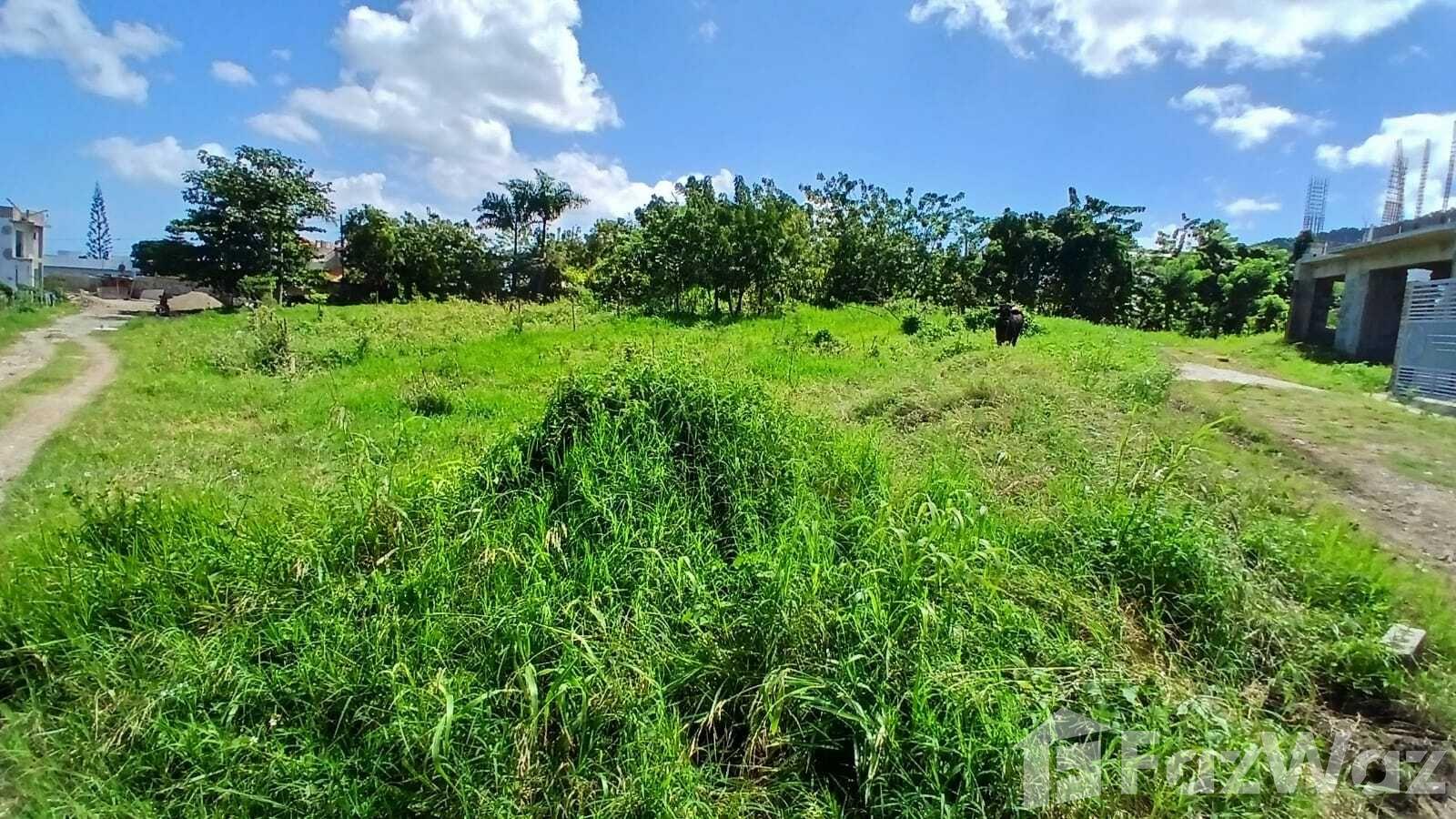 Residential Land for Sale in San Felipe De Puerto Plata — photo 5